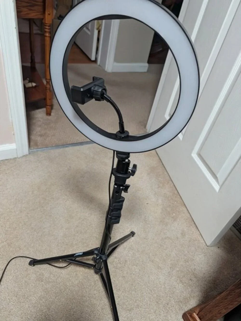 Ring light with phone holder, 10 in, pole expands to 55 inches